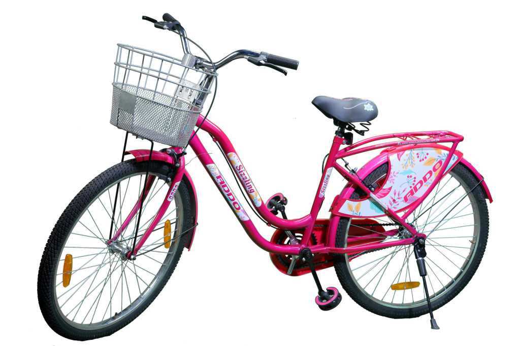 Lady cycle price below 3000 best sale